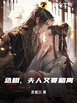 丞相夫人又跑了txt