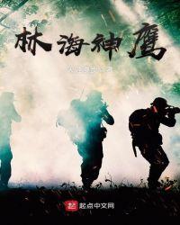 林海和飞鹰哪个质量好