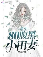 重生80小医妻