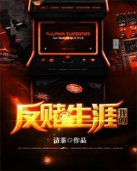 反赌视频完整版