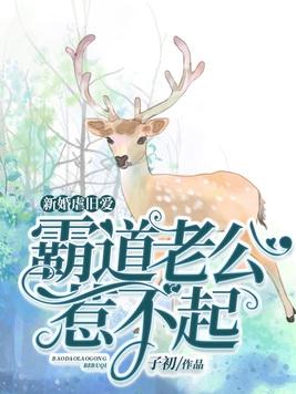 总裁霸道新婚之夜