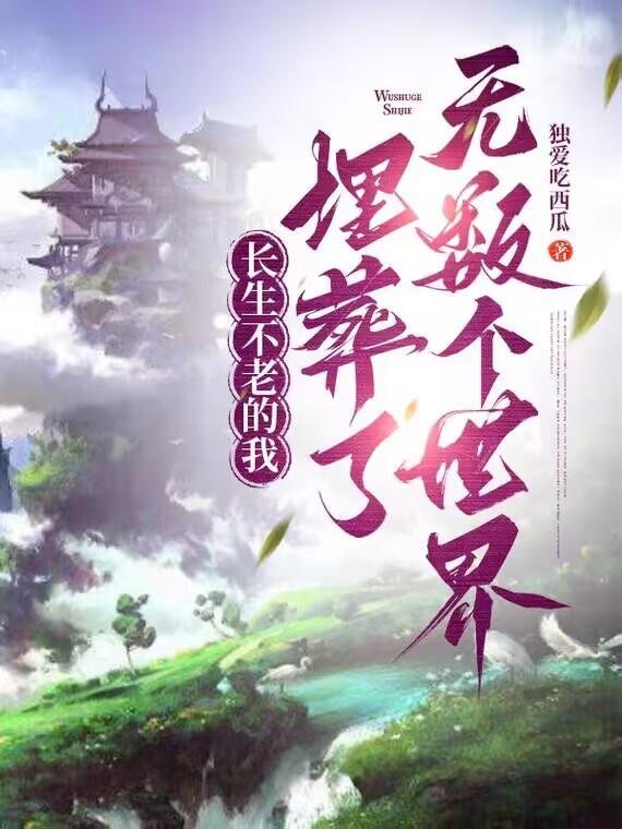 网游之终极盾皇精校txt