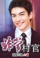 非常村官在线阅读