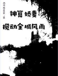 神算娇妻搅动全城风雨的在线阅读