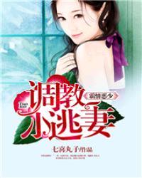 霸情恶少调较小逃妻