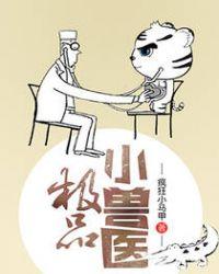 极品小医师
