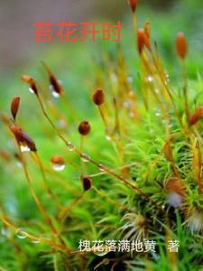 苔花如米小也学牡丹开什么意思