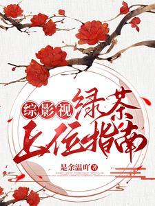 综影视女配事务所全文