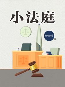 小法庭几票算赢