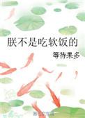 朕不是这样的汉子书包网