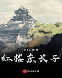 红楼庶长子剧情介绍