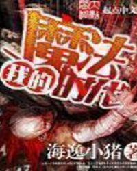 我的魔法时代全文阅读