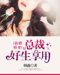 新婚娇妻宠上瘾有多少章