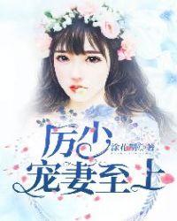 简安安厉少霆全文免费阅读一250