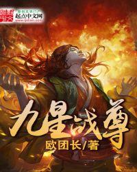 九星战绩是什么意思