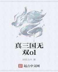真三国无双ol复活