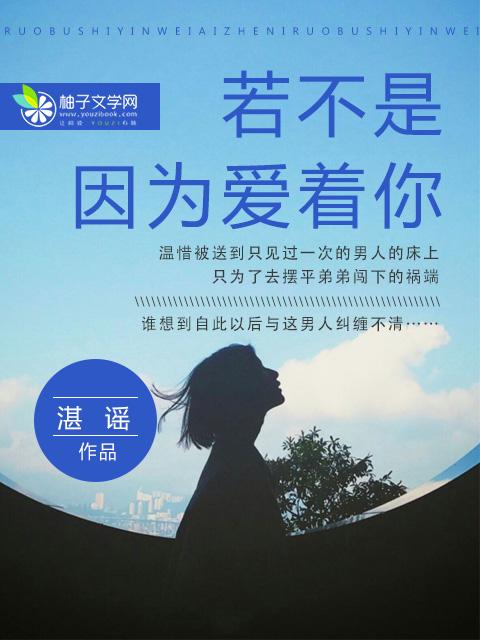 若不是因为爱着你莫文蔚歌词