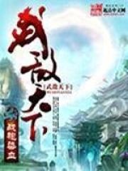 武敌天下 聚合中文网