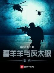 喜羊羊与灰太狼文明系列