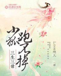 小狐狸怎么跑
