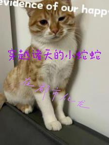 玄黄是指什么