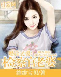 乔木何许上南枝甜梦文库