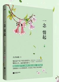 一念情起终结篇
