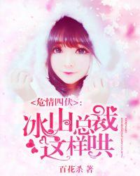 冰山总裁gl说