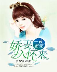 一夜蜜宠老婆大人别想跑