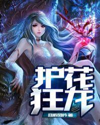 护花狂龙全文免费阅读易军!!陈平