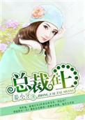 总裁在上讲的什么