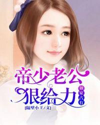 帝少老公轻轻宠免费读全文