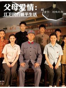 父母爱情电视剧免费观看完整版