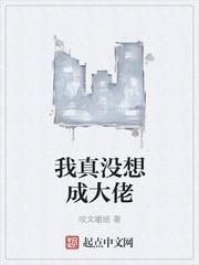 临世是出生的意思么