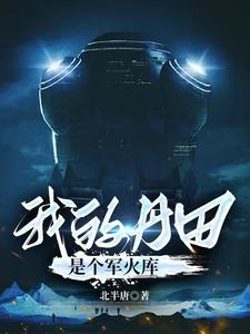 我的丹田是个军火库境界划分