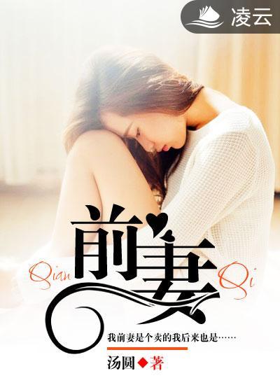 前妻求你别改嫁作者婉转的蓝