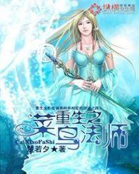 重生之菜鸟律师