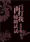再打我辅助试试讲的什么