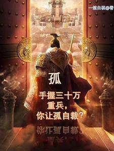 少帅27岁手握三十万重兵