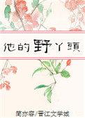 野丫头他宠的全文免费