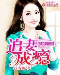 追妻成瘾时爷的小撩精