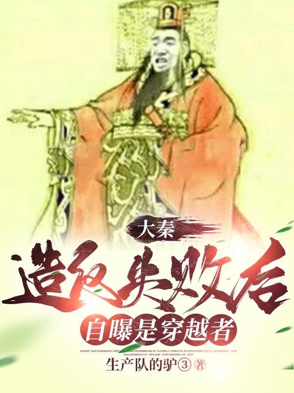 大秦穿越指南