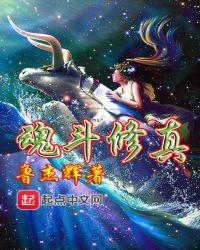魂修等级