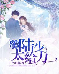 总裁掠爱100天末册版