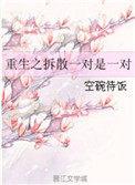 重生之拆散一对是一对的