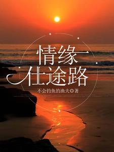 仕途青云全本