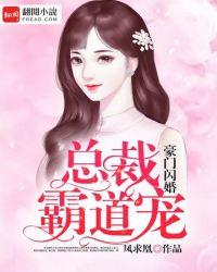 一胎三宝帝国总裁霸道宠