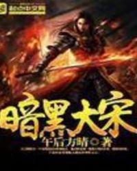 午后方晴暗黑大宋