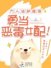 萨摩耶拟人图
