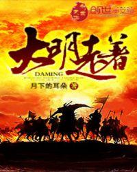南明英杰传详细攻略及宝物获得